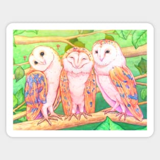 Cute watercolor barn owls Sticker